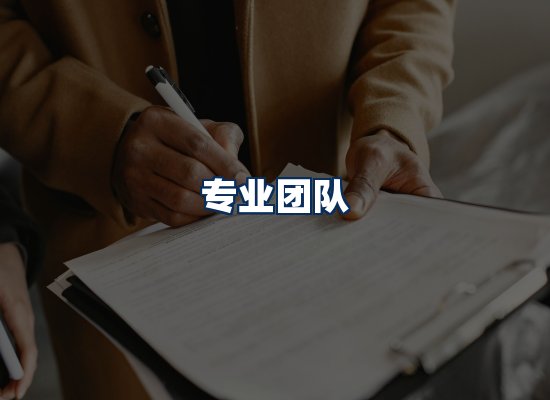 专业团队